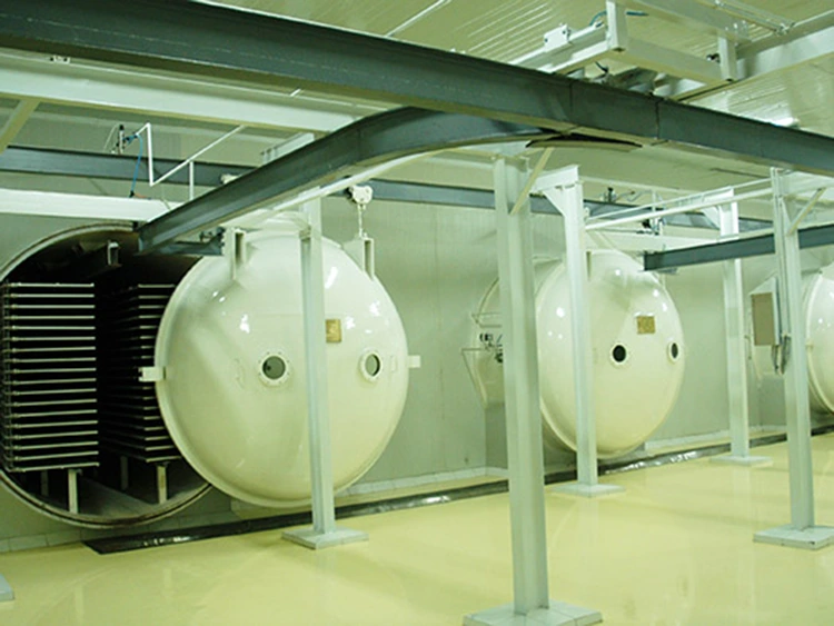 Food Freeze Dryer
