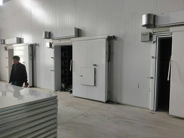 Cold Store Sliding Door