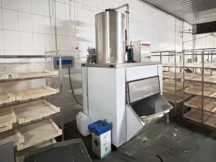 Flake Ice Machine