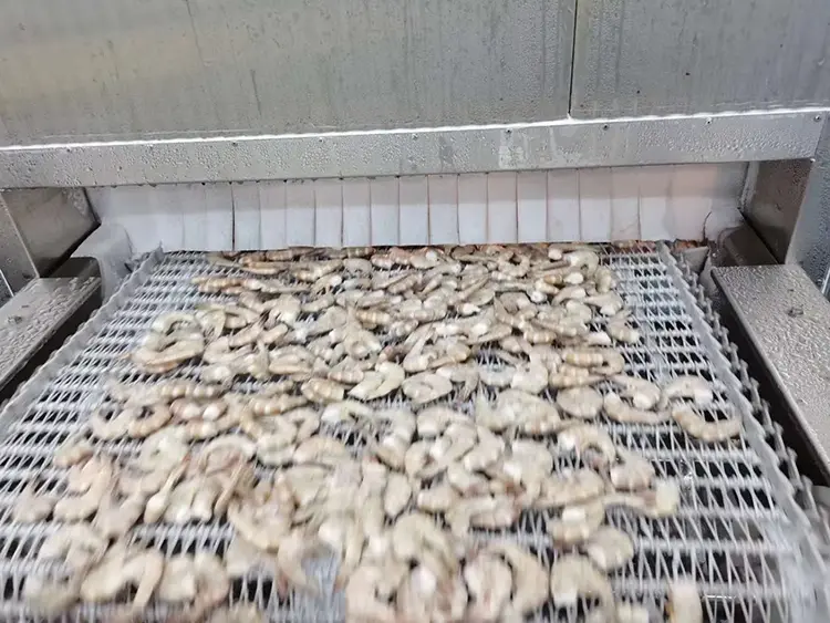 Single-Drum Spiral Freezer